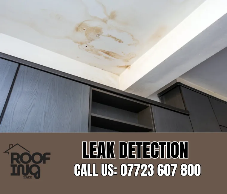 Roof Leak Detection in Launceston