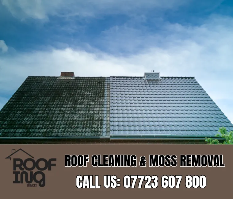 Roof cleaning and moss removal in Launceston