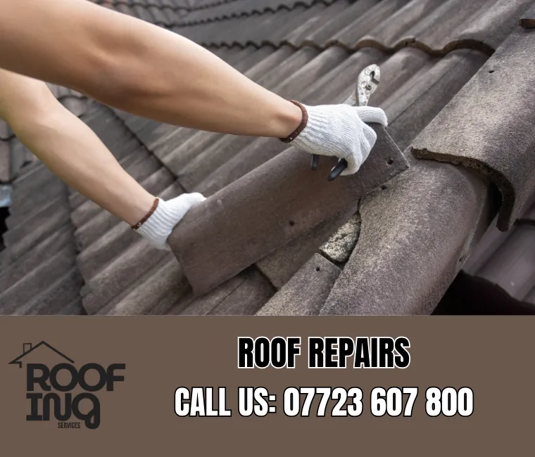 Professional roof repair services in Launceston
